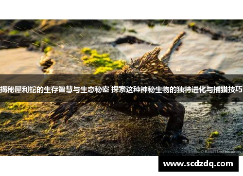 揭秘犀利蛇的生存智慧与生态秘密 探索这种神秘生物的独特进化与捕猎技巧