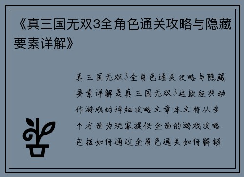 《真三国无双3全角色通关攻略与隐藏要素详解》