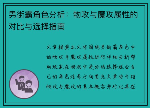 男街霸角色分析：物攻与魔攻属性的对比与选择指南